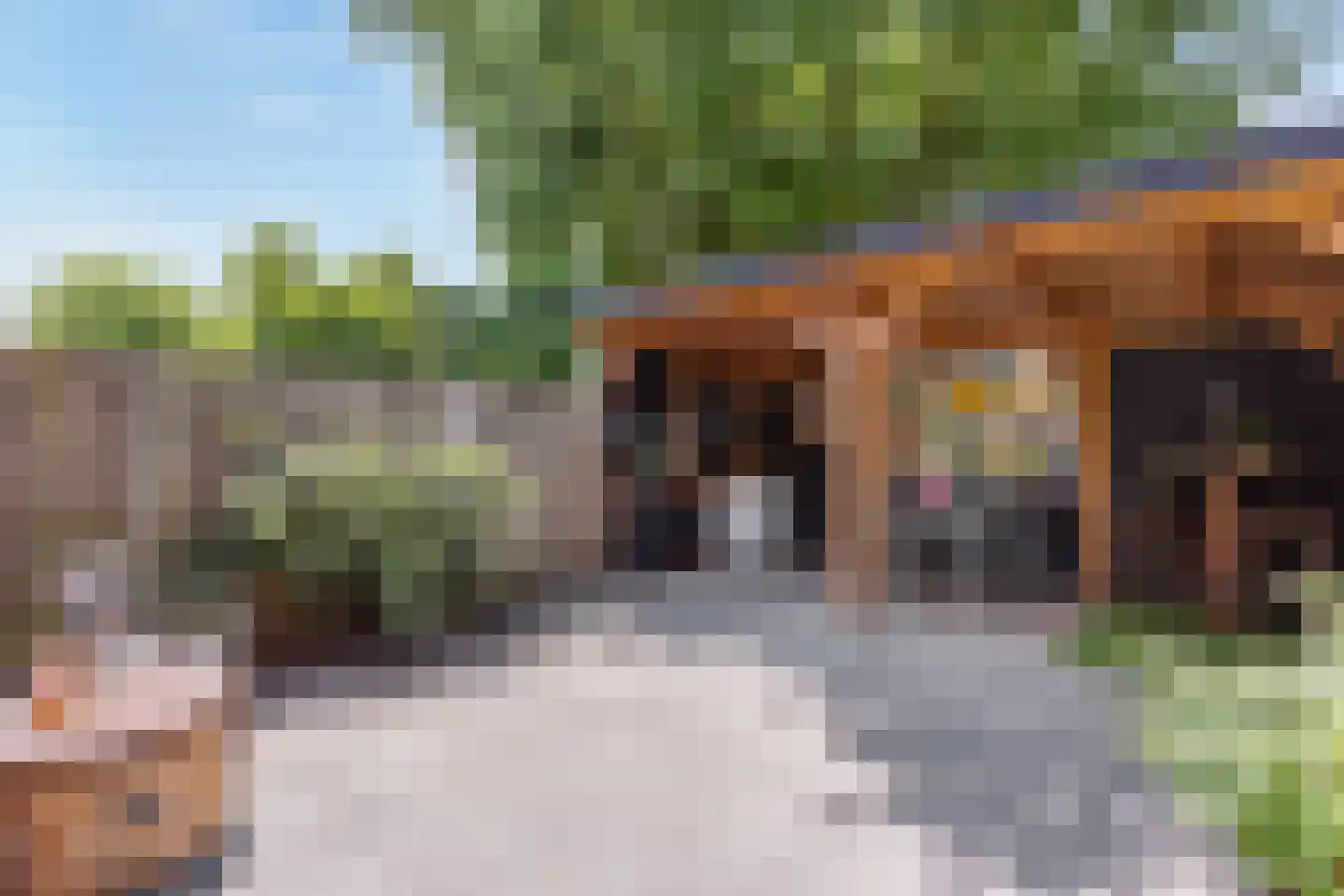 Zenegroen 19 Oldenzaal thumbnail 20