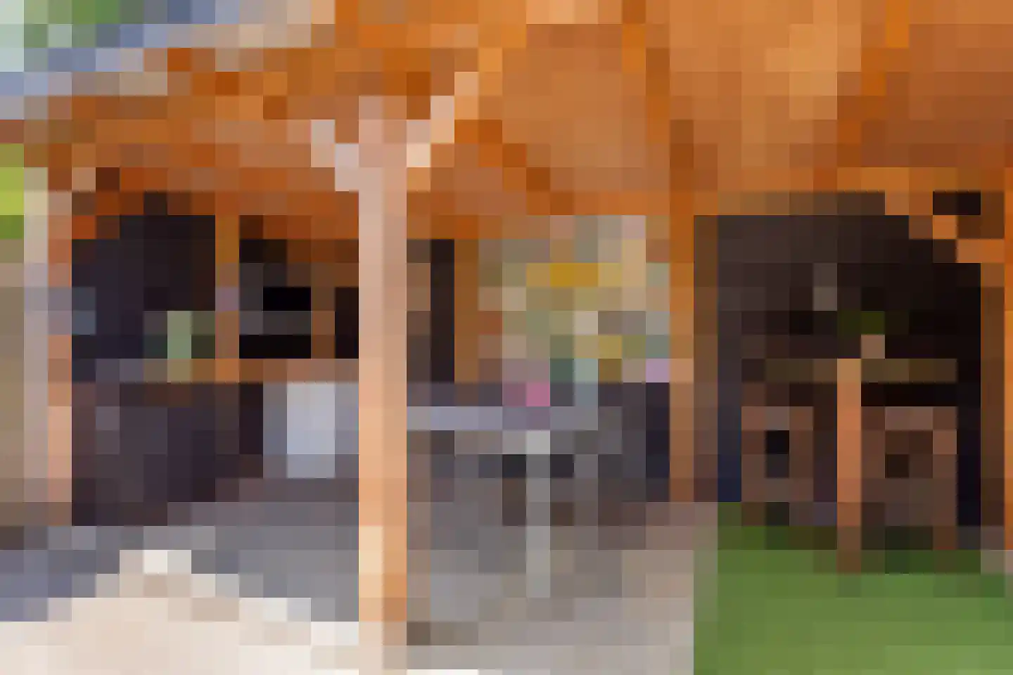 Zenegroen 19 Oldenzaal thumbnail 21