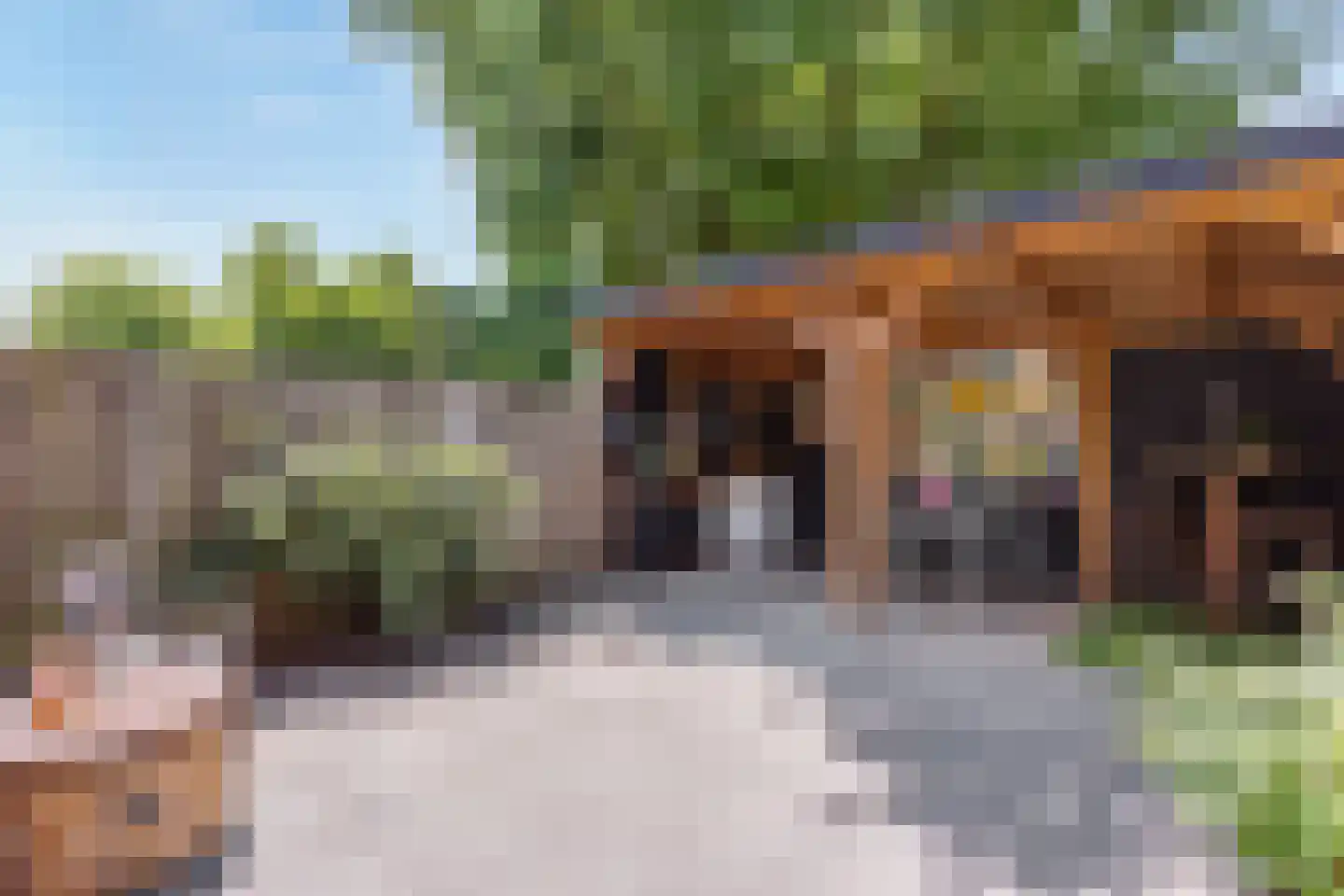 Zenegroen 19 Oldenzaal thumbnail 5