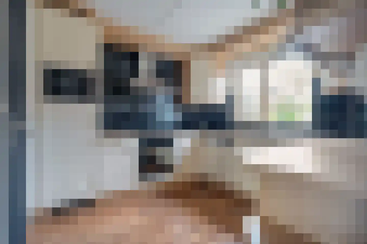 Zenegroen 2 Hardenberg thumbnail 14