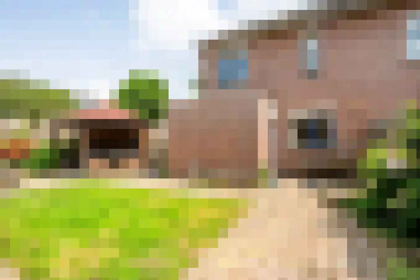 Zenegroen 2 Hardenberg thumbnail 34