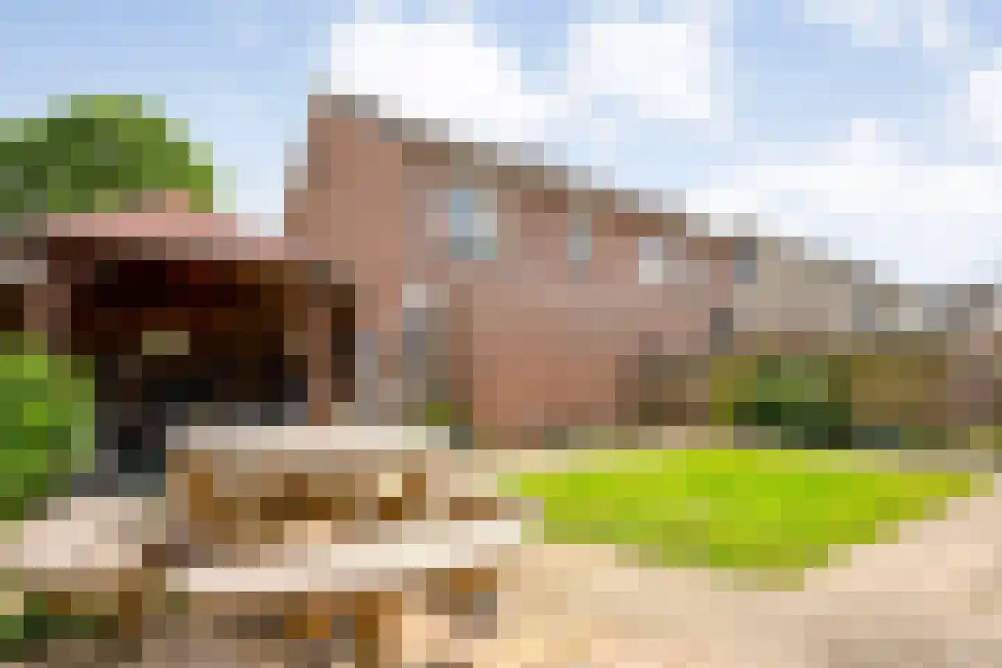 Zenegroen 2 Hardenberg thumbnail 35