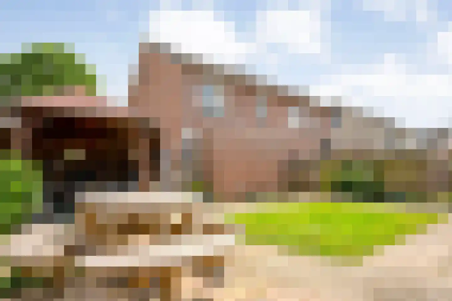 Zenegroen 2 Hardenberg thumbnail 36