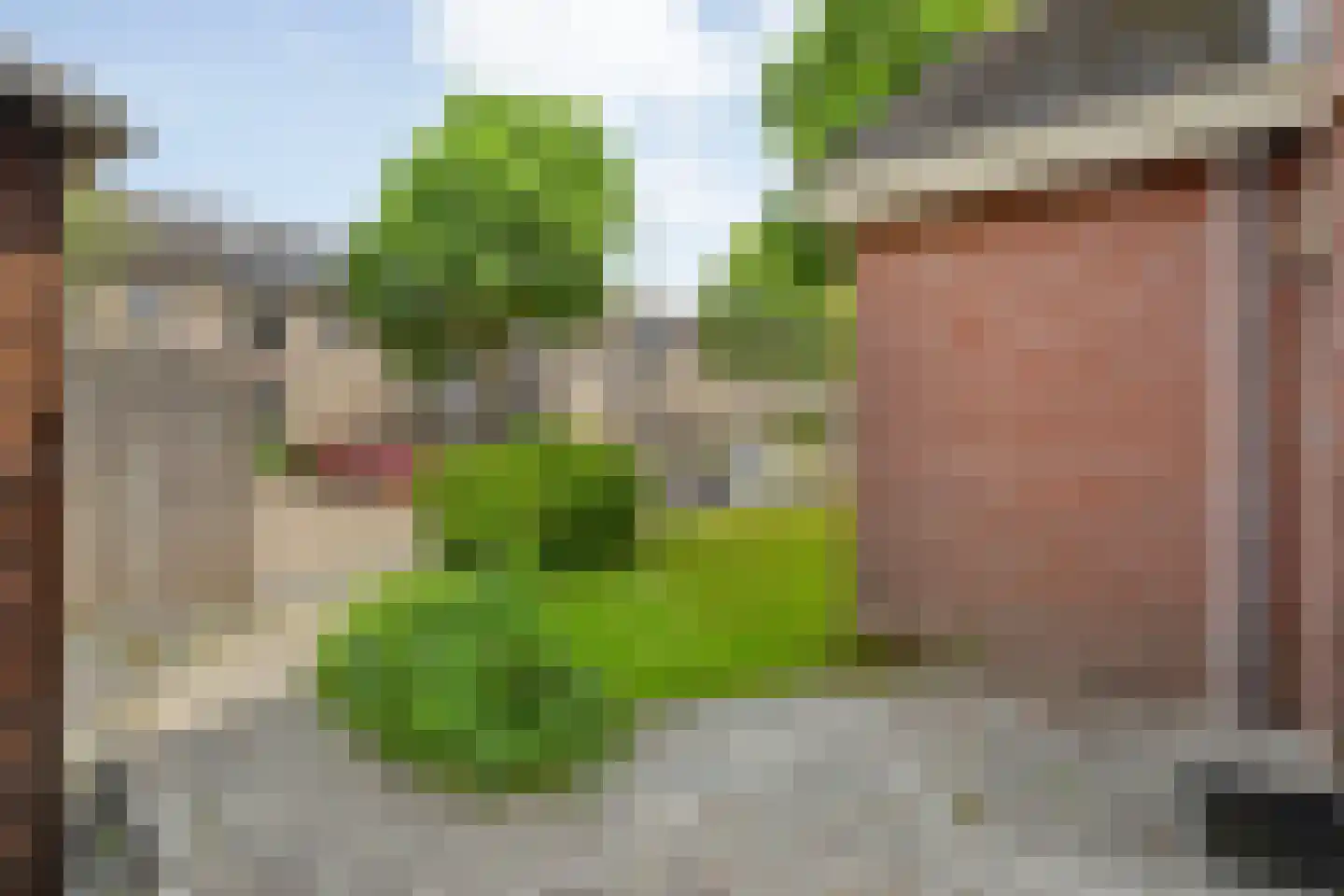 Zenegroen 2 Hardenberg thumbnail 37