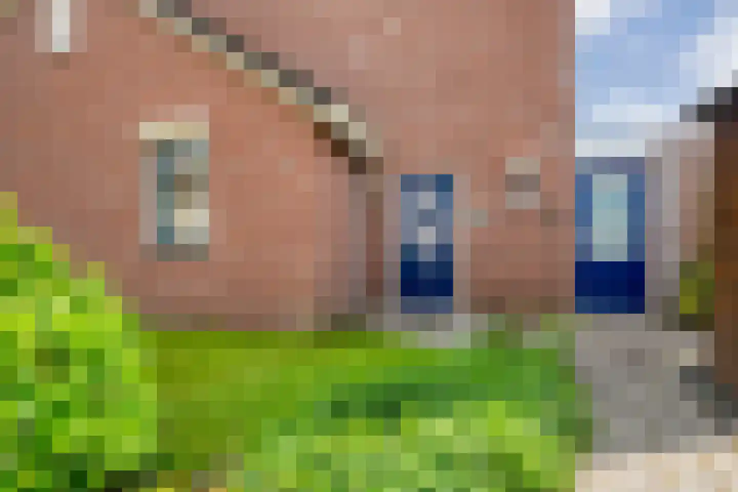 Zenegroen 2 Hardenberg thumbnail 6