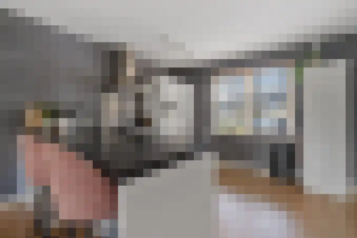 Zenegroen 2 Leeuwarden thumbnail 17