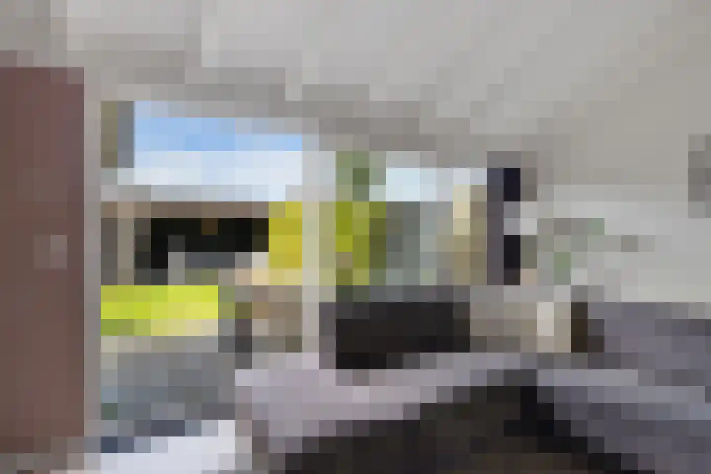 Zenegroen 2 Leeuwarden thumbnail 26