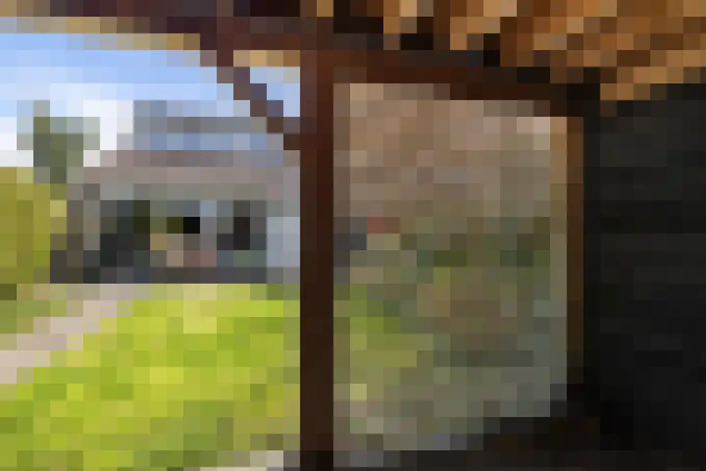 Zenegroen 2 Leeuwarden thumbnail 33