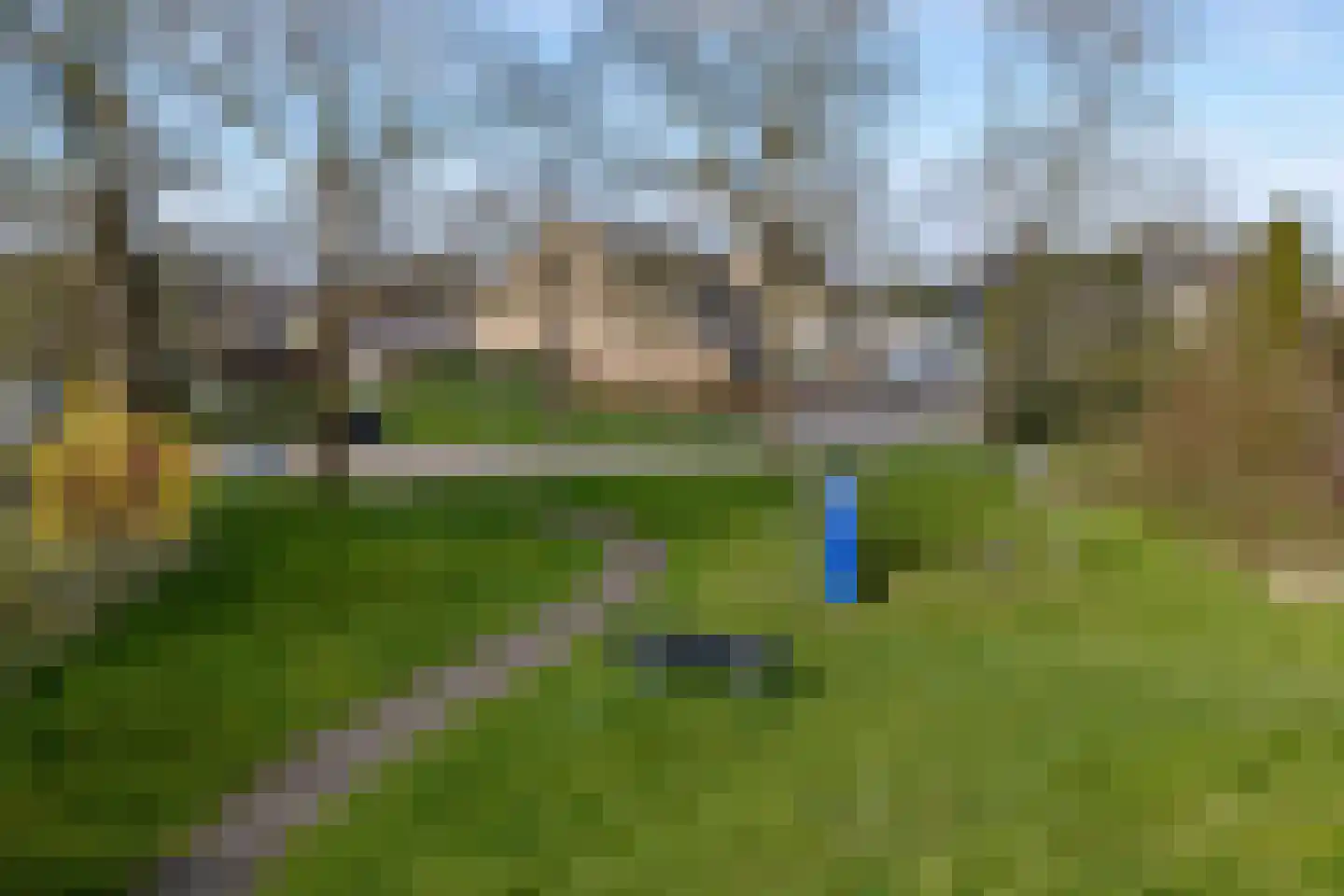 Zenegroen 2 Leeuwarden thumbnail 51