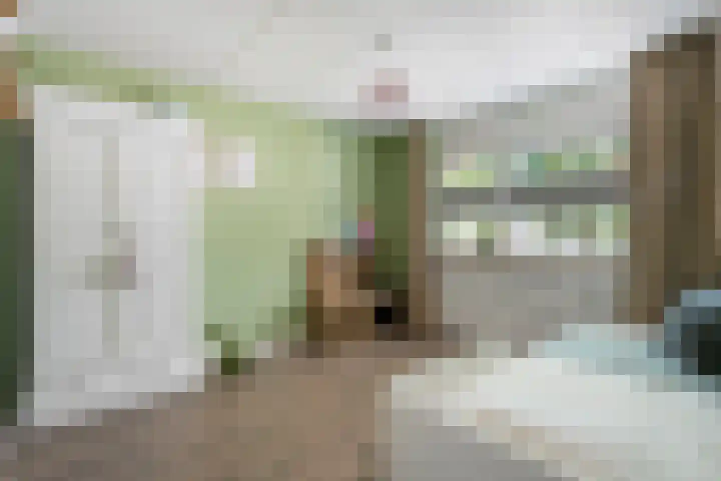 Zenegroen 2 Oldenzaal thumbnail 12