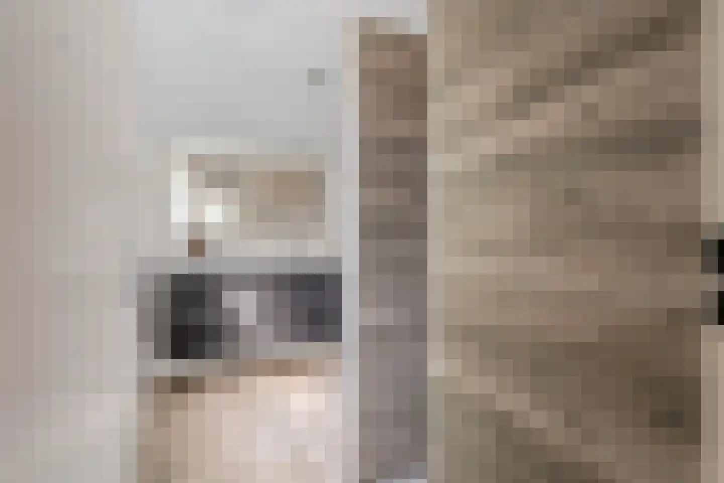 Zenegroen 2 Oldenzaal thumbnail 15