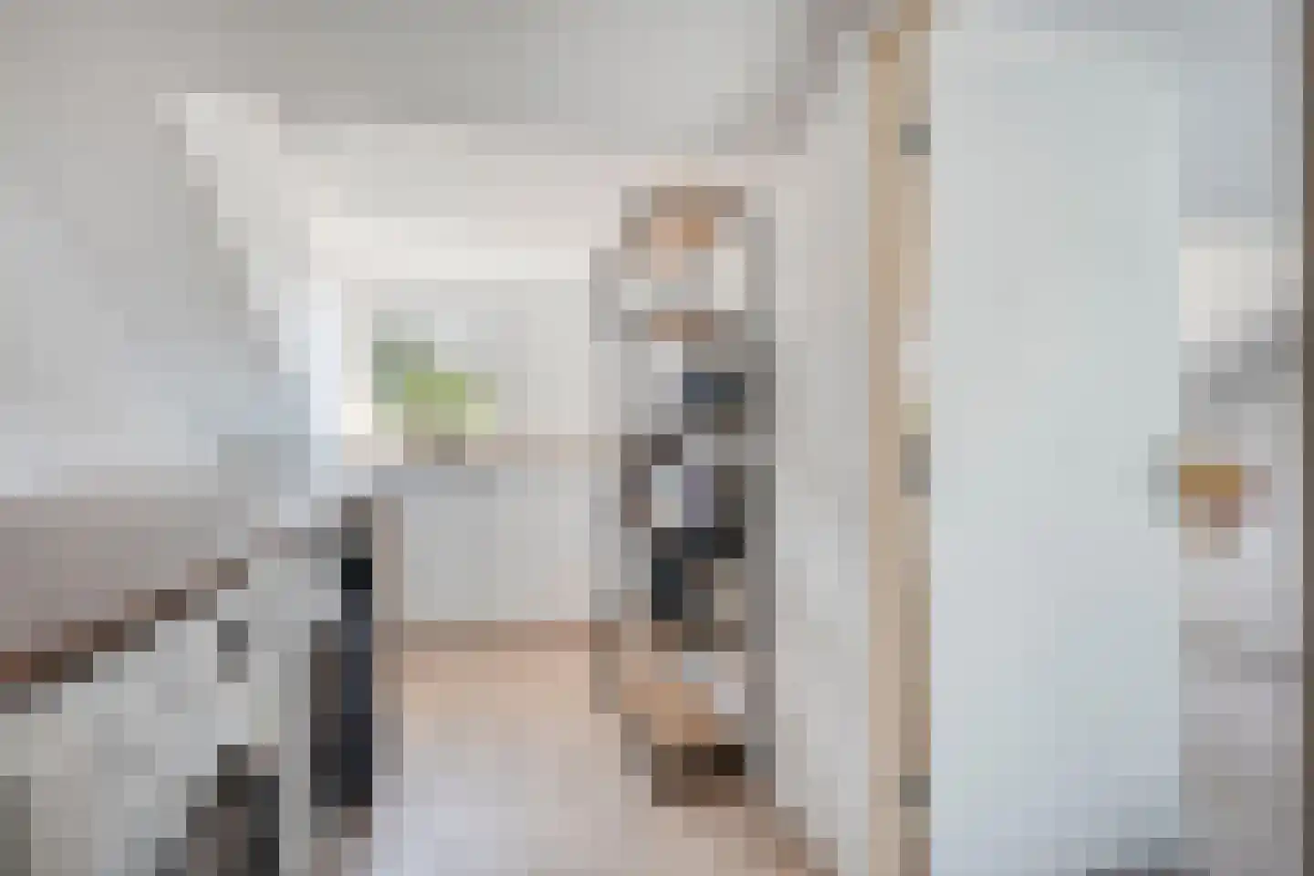 Zenegroen 2 Oldenzaal thumbnail 17
