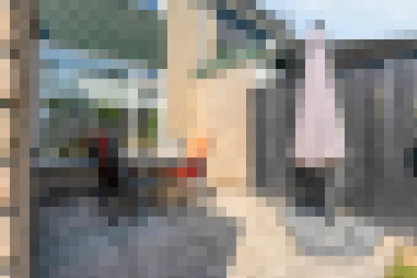 Zenegroen 2 Oldenzaal thumbnail 21
