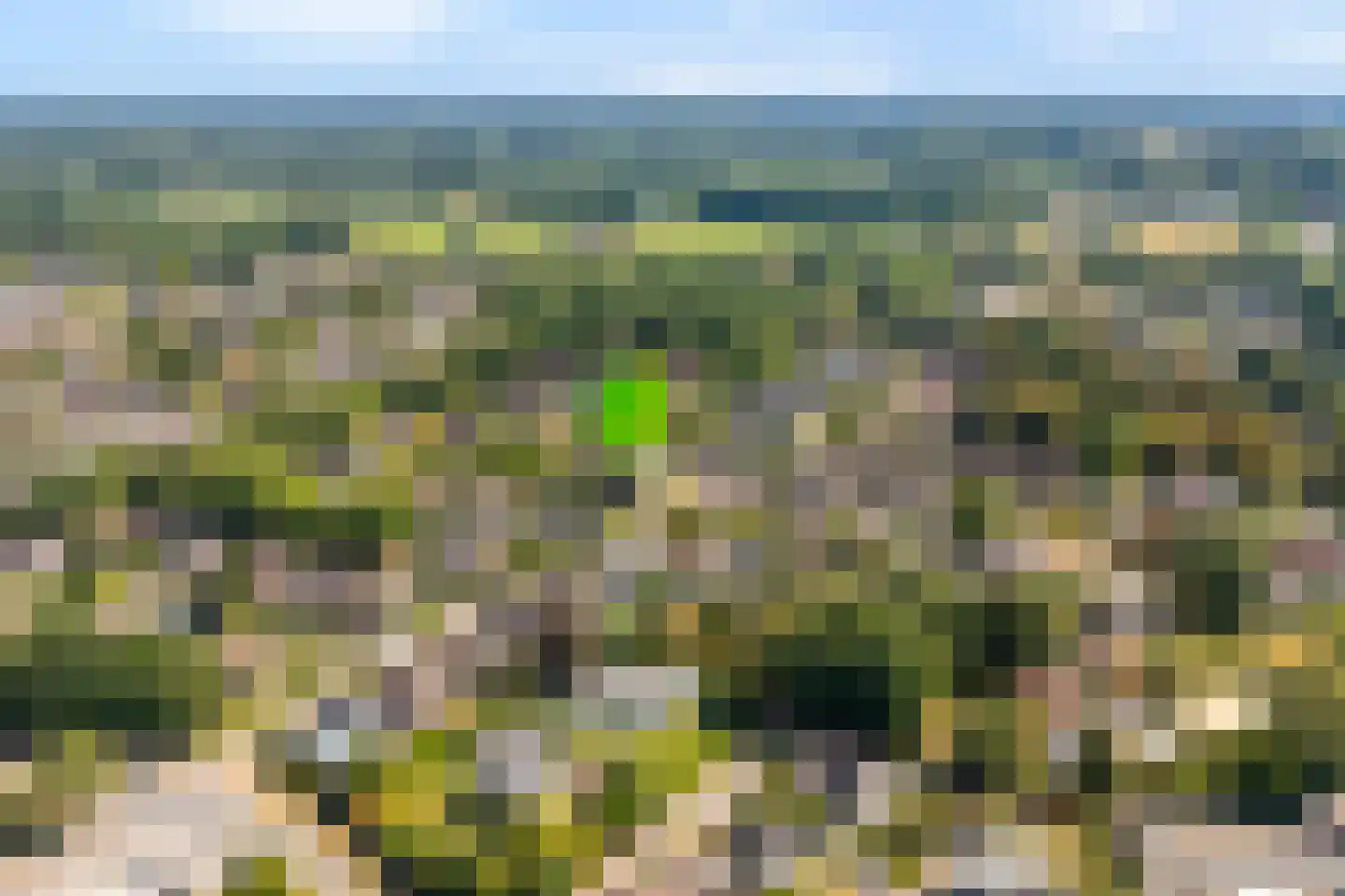 Zenegroen 2 Oldenzaal thumbnail 28