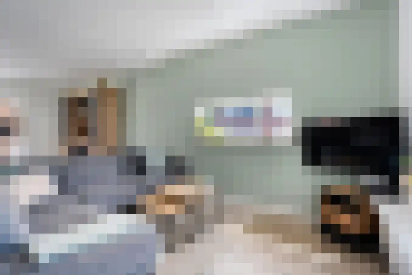 Zenegroen 2 Oldenzaal thumbnail 5