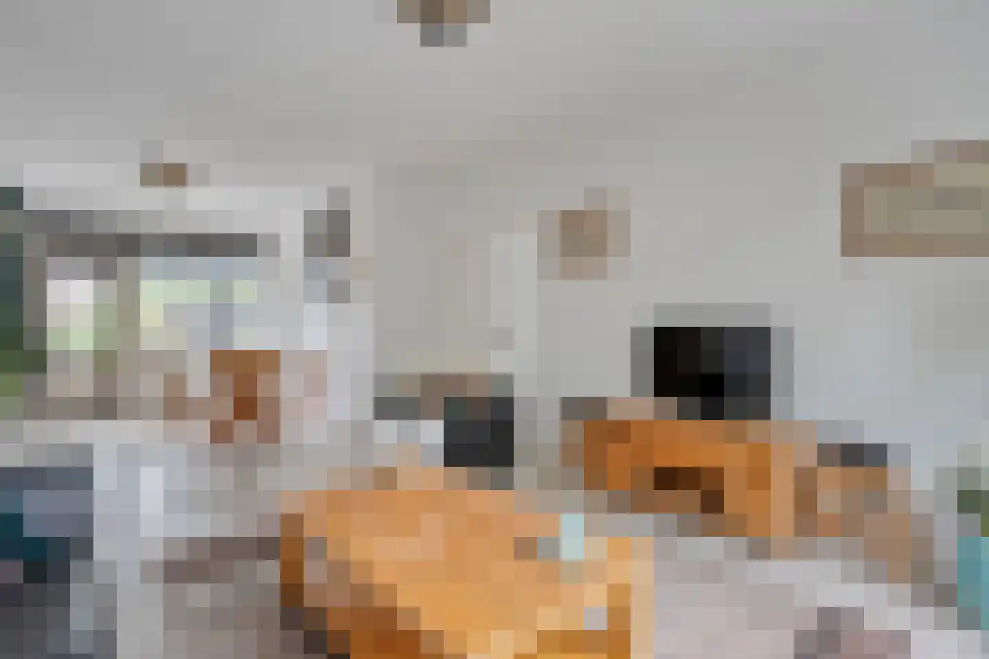 Zenegroen 23 Kampen thumbnail 10