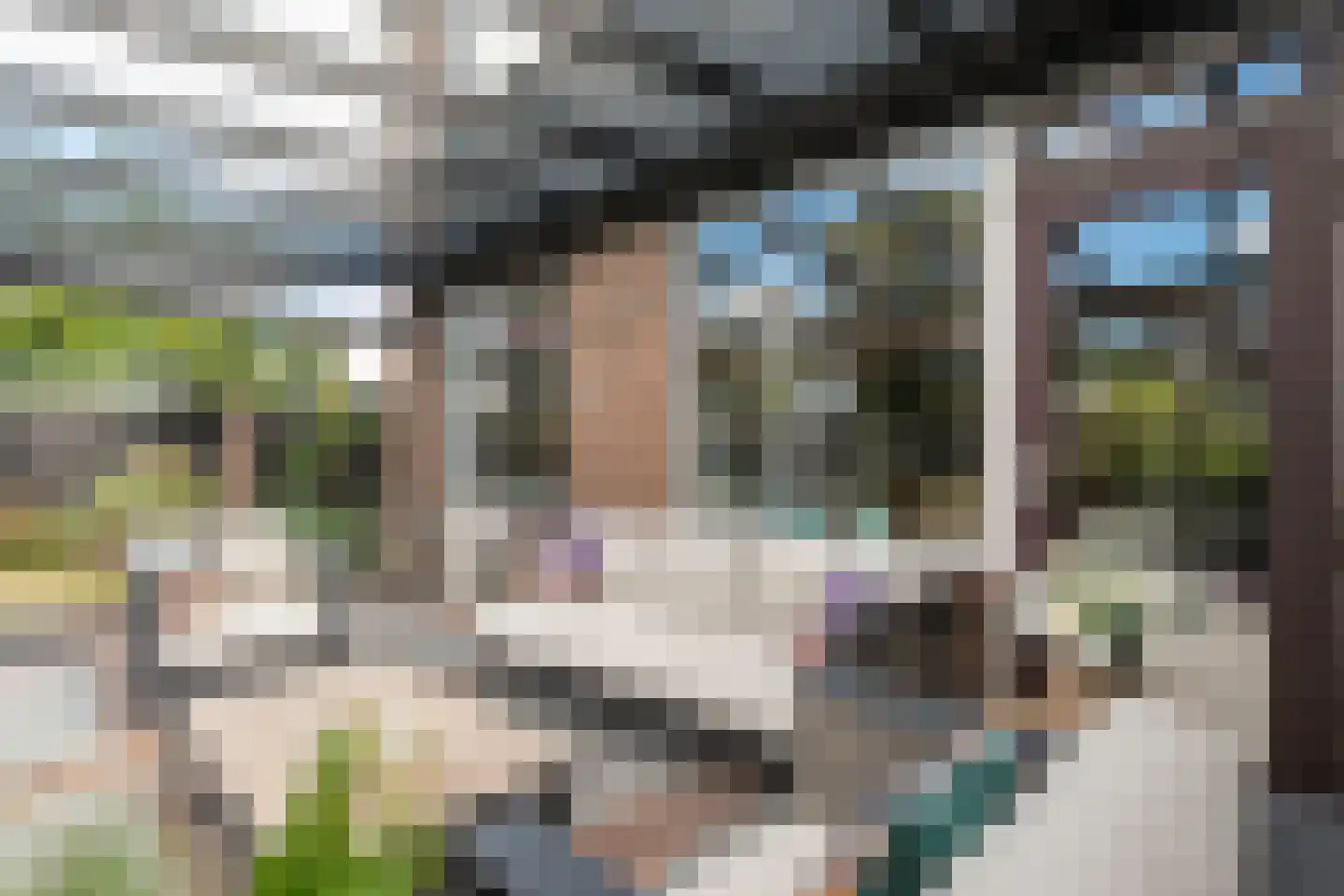 Zenegroen 23 Kampen thumbnail 33