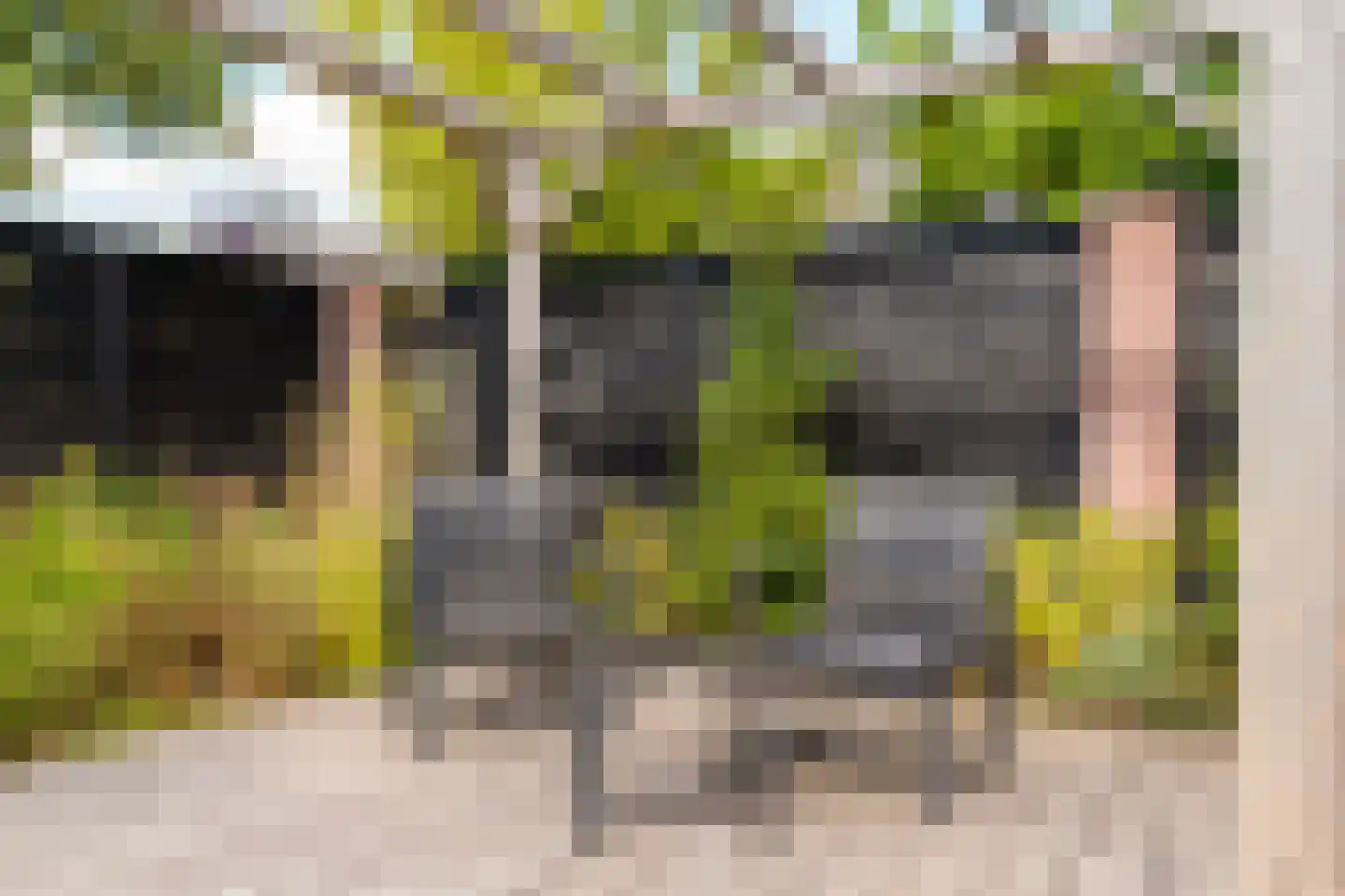Zenegroen 23 Kampen thumbnail 35
