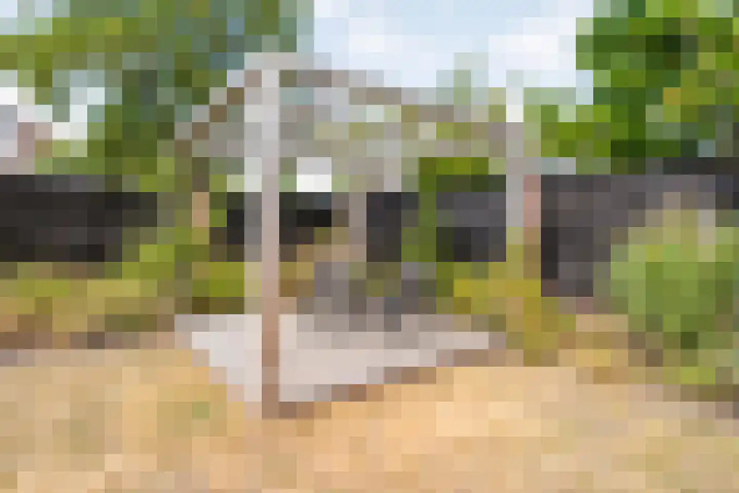 Zenegroen 23 Kampen thumbnail 36