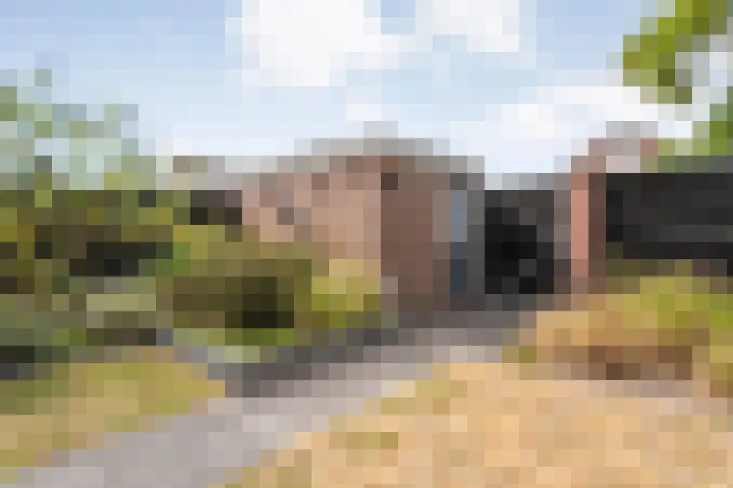 Zenegroen 23 Kampen thumbnail 37