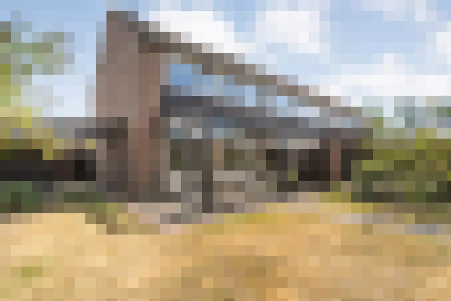 Zenegroen 23 Kampen thumbnail 40
