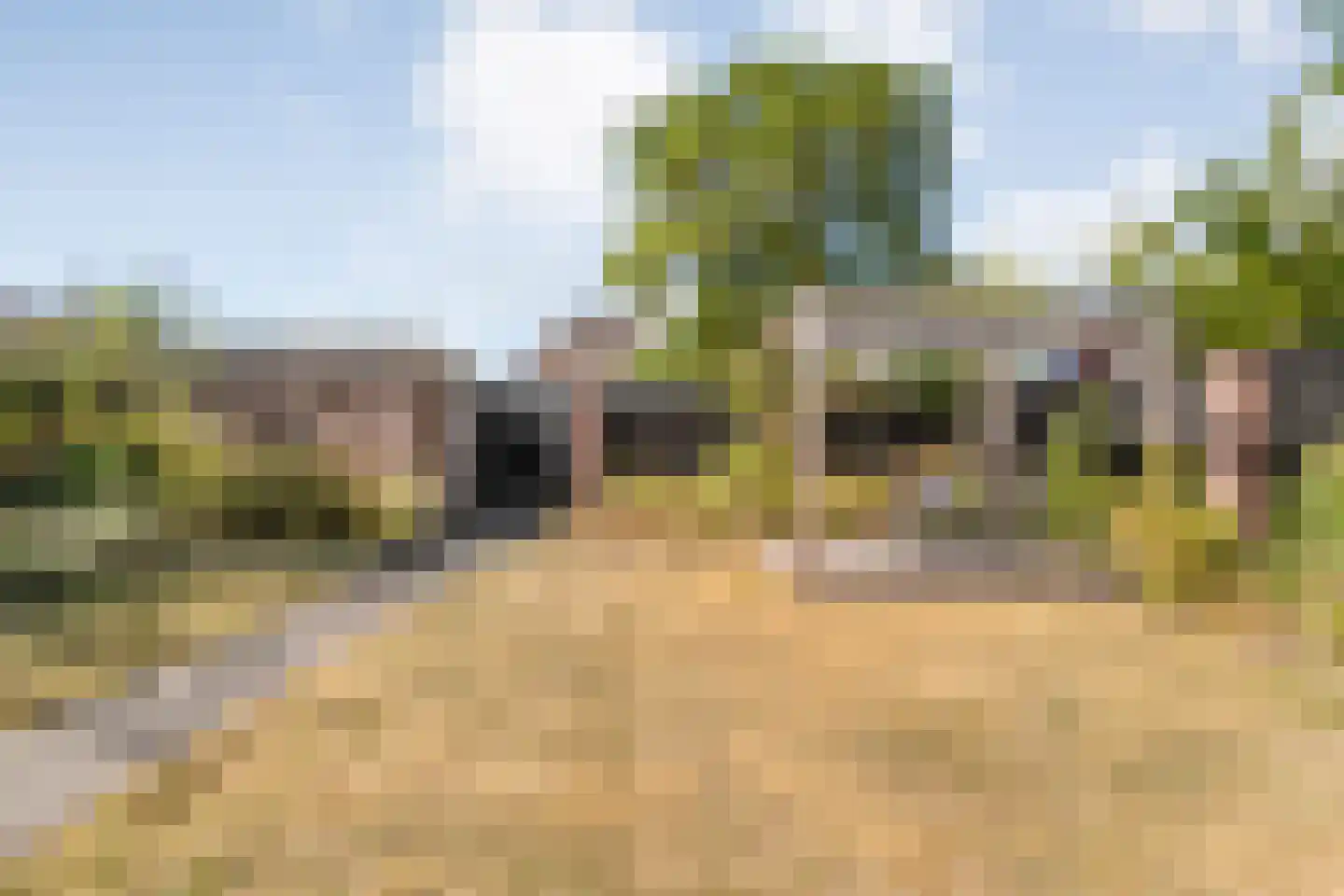 Zenegroen 23 Kampen thumbnail 41
