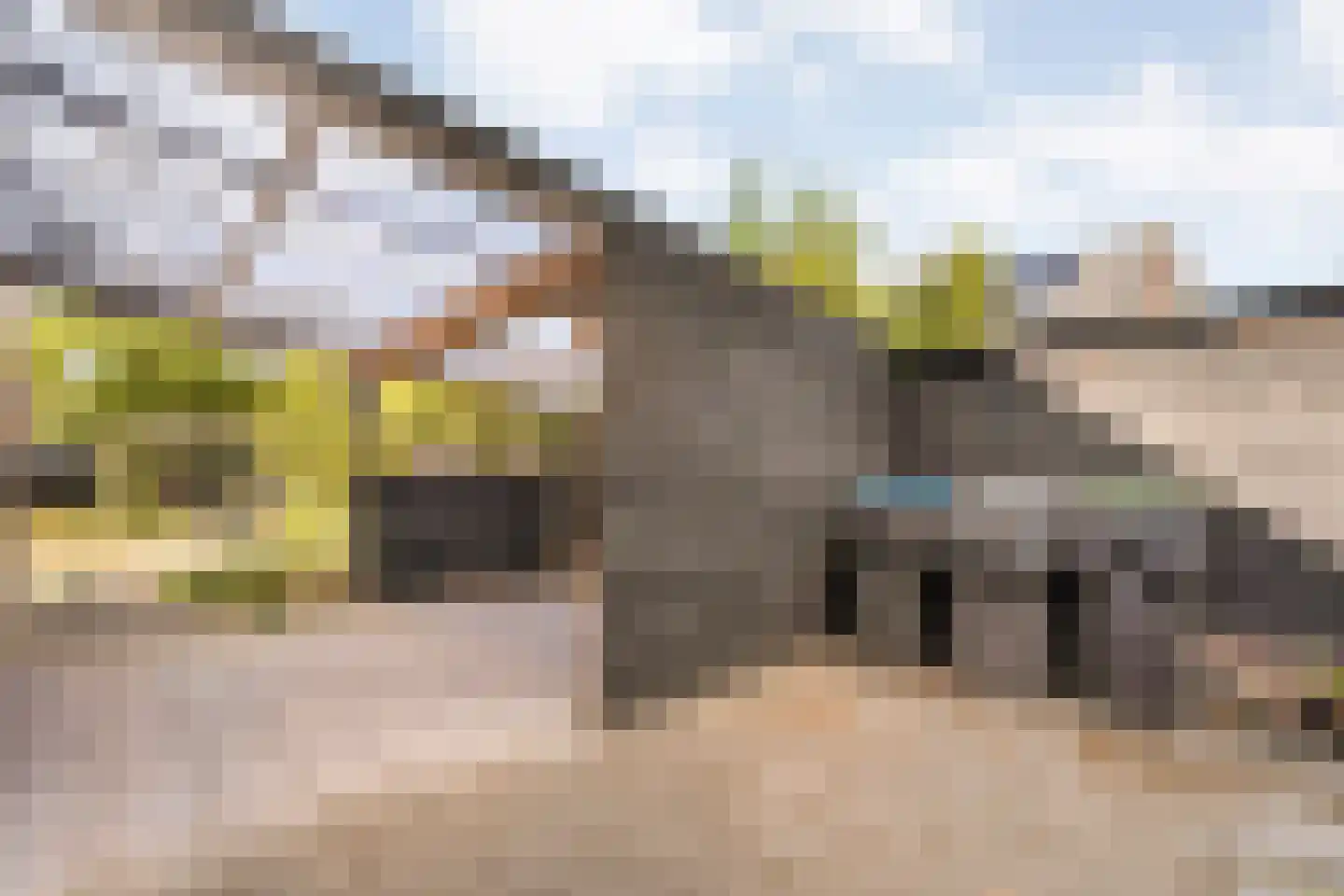 Zenegroen 23 Kampen thumbnail 45