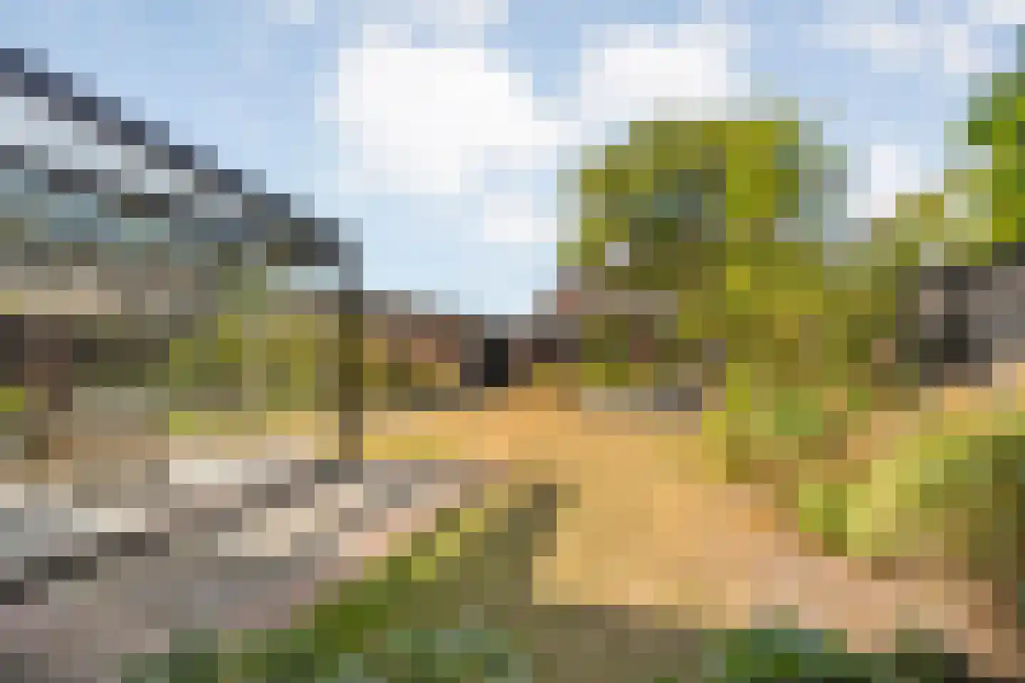 Zenegroen 23 Kampen thumbnail 46
