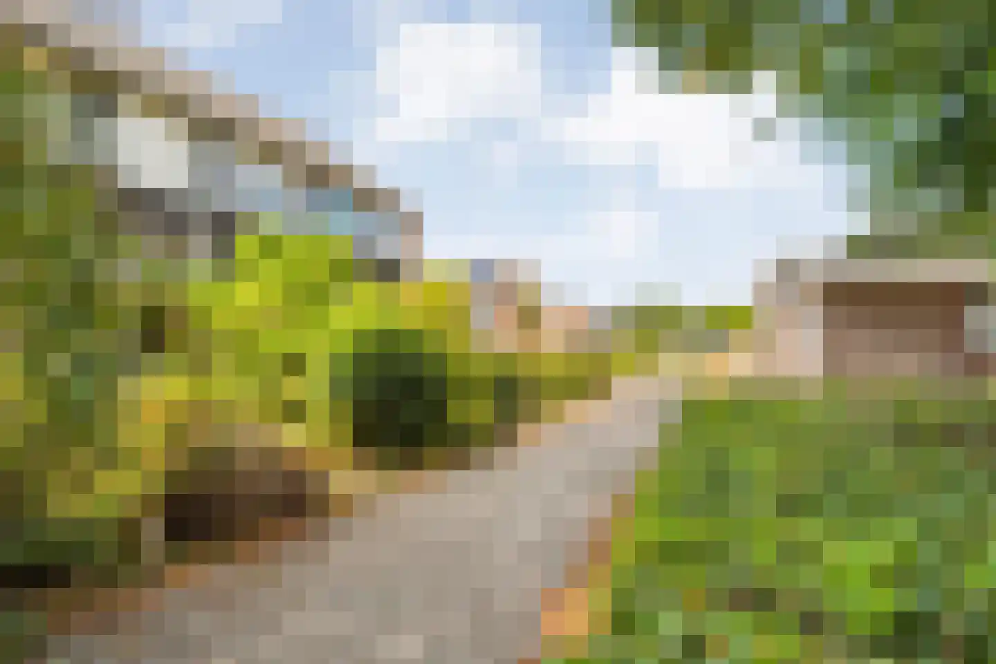 Zenegroen 23 Kampen thumbnail 48