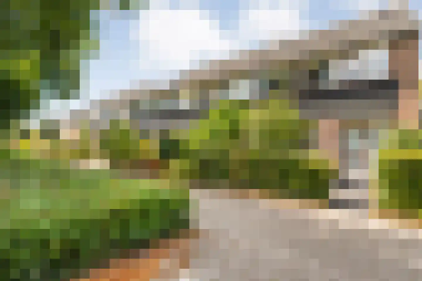 Zenegroen 23 Kampen thumbnail 50