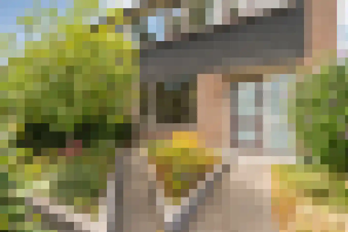 Zenegroen 23 Kampen thumbnail 51
