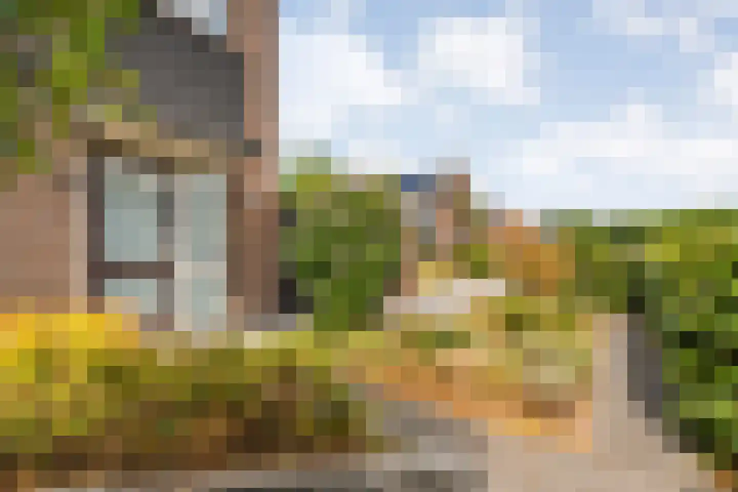 Zenegroen 23 Kampen thumbnail 52