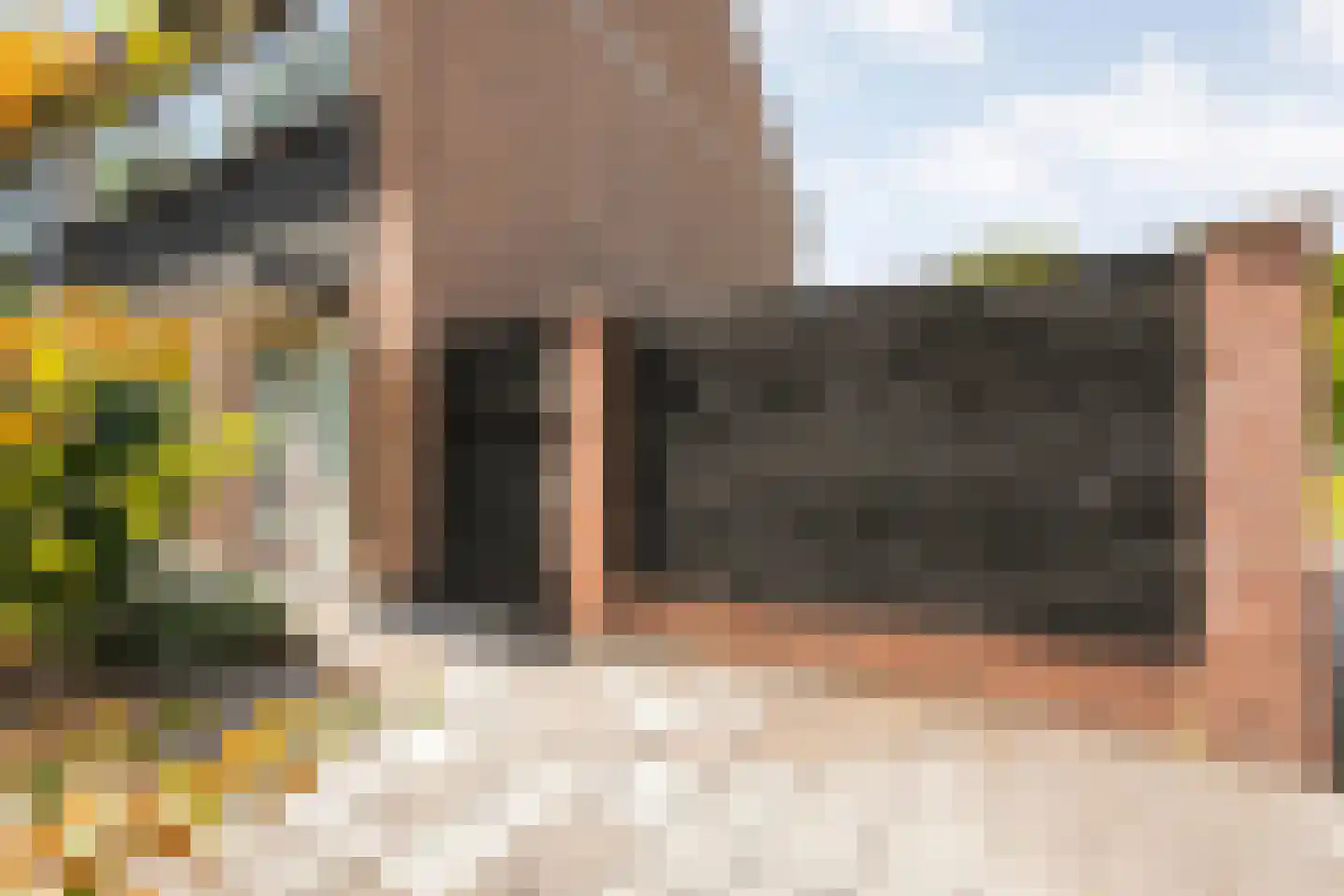 Zenegroen 23 Kampen thumbnail 55