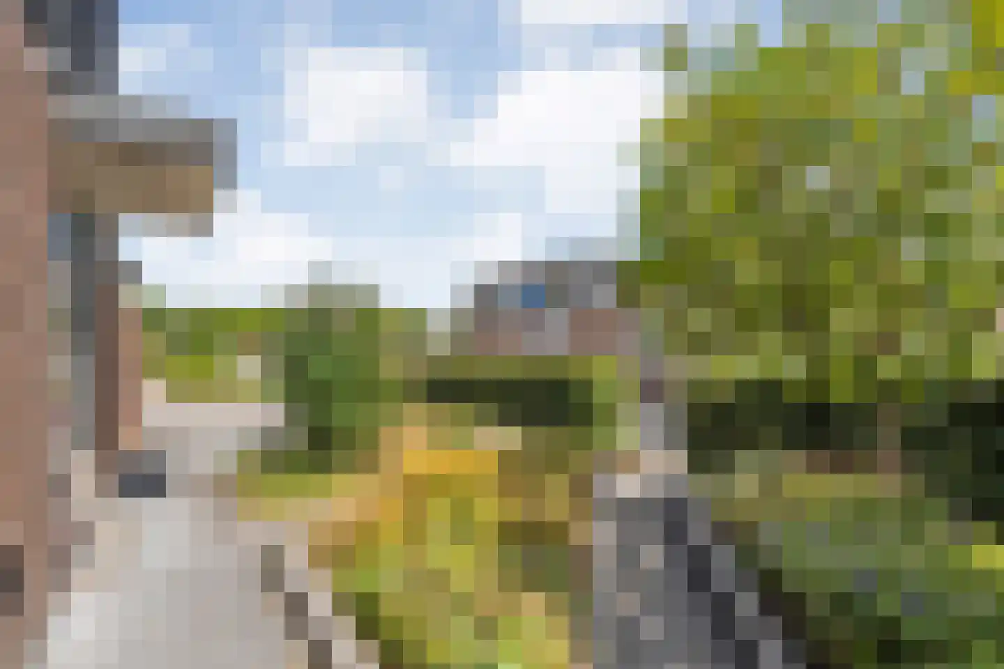 Zenegroen 23 Kampen thumbnail 56