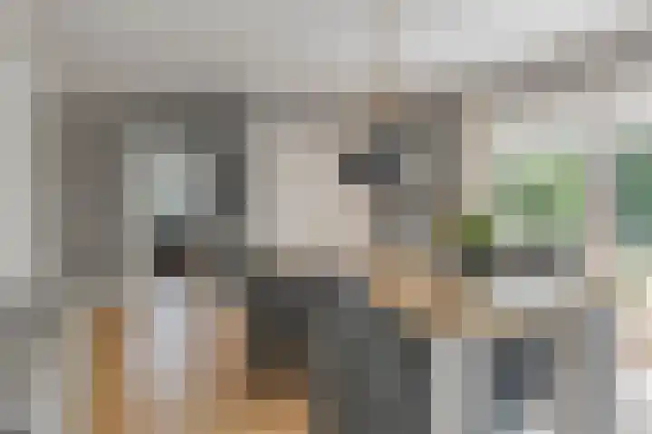 Zenegroen 24 Hardenberg thumbnail 13