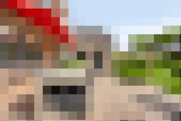 Zenegroen 24 Hardenberg thumbnail 31