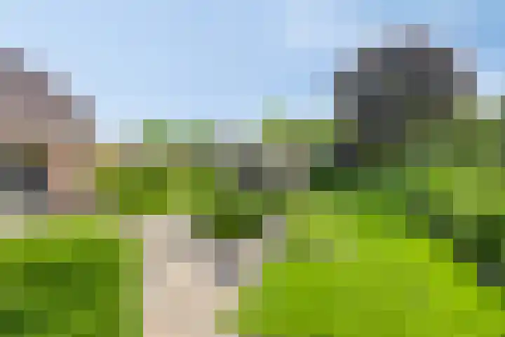 Zenegroen 24 Hardenberg thumbnail 32