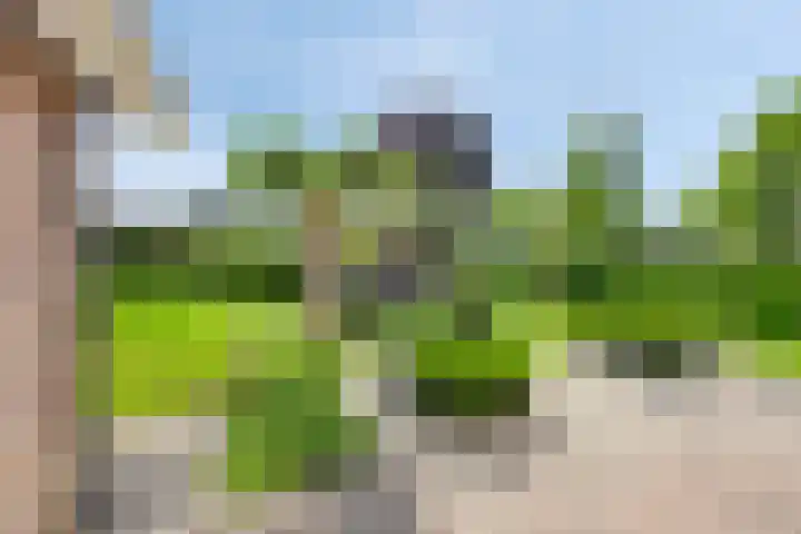 Zenegroen 24 Hardenberg thumbnail 33