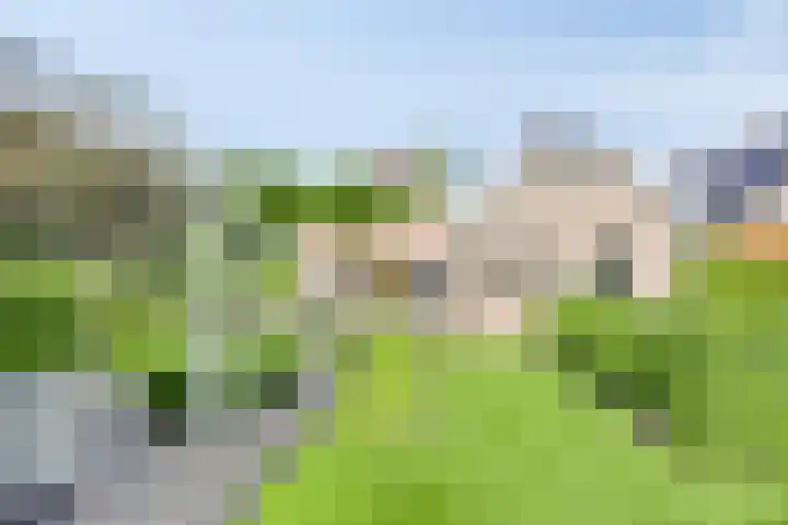 Zenegroen 24 Hardenberg thumbnail 34