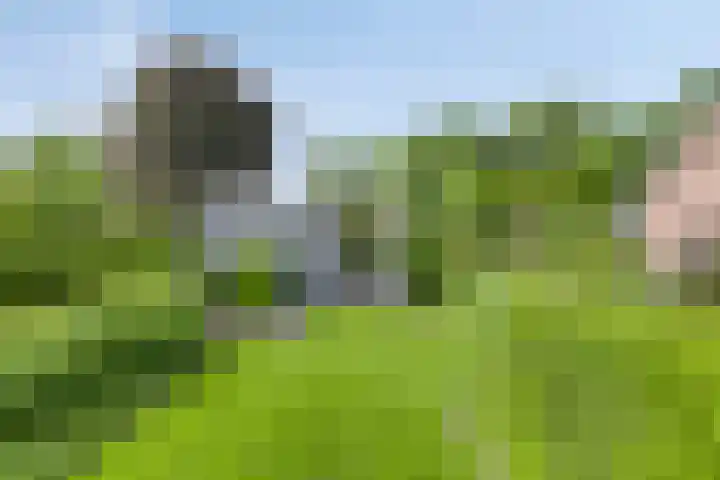 Zenegroen 24 Hardenberg thumbnail 35
