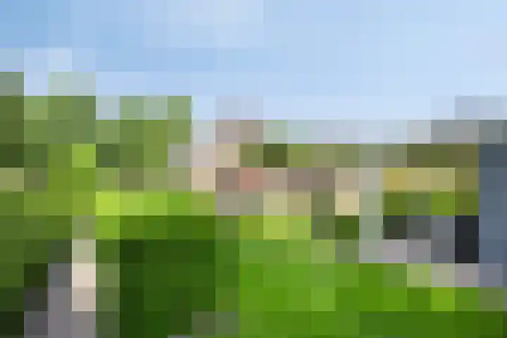 Zenegroen 24 Hardenberg thumbnail 36