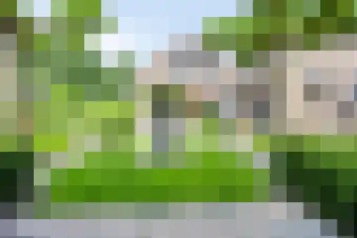 Zenegroen 24 Hardenberg thumbnail 38