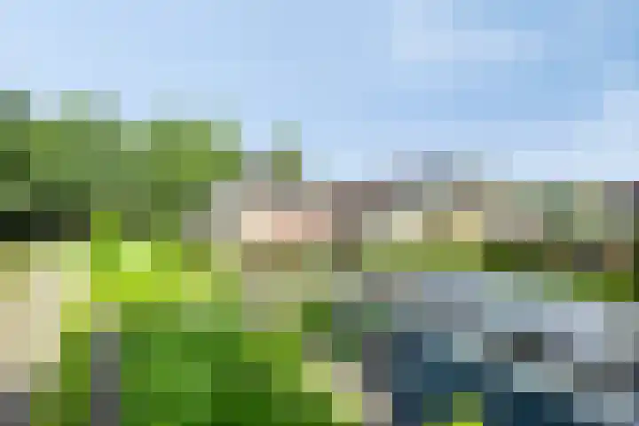 Zenegroen 24 Hardenberg thumbnail 39