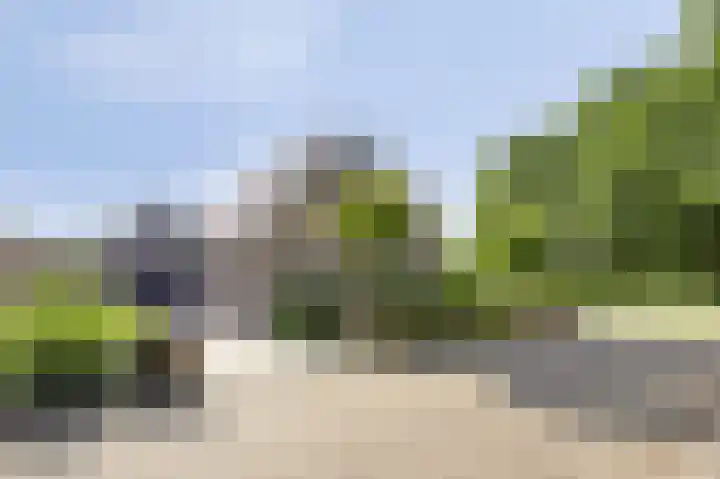 Zenegroen 24 Hardenberg thumbnail 4
