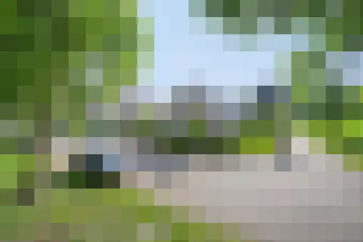 Zenegroen 24 Hardenberg thumbnail 40