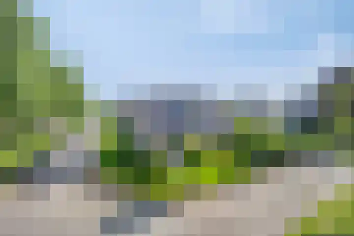 Zenegroen 24 Hardenberg thumbnail 41