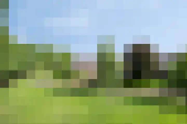 Zenegroen 24 Hardenberg thumbnail 42