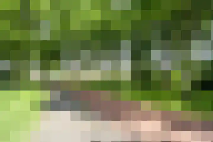 Zenegroen 24 Hardenberg thumbnail 43
