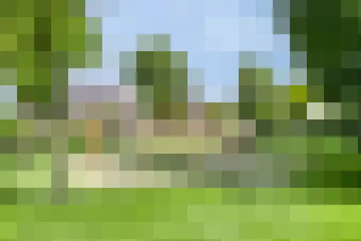 Zenegroen 24 Hardenberg thumbnail 44