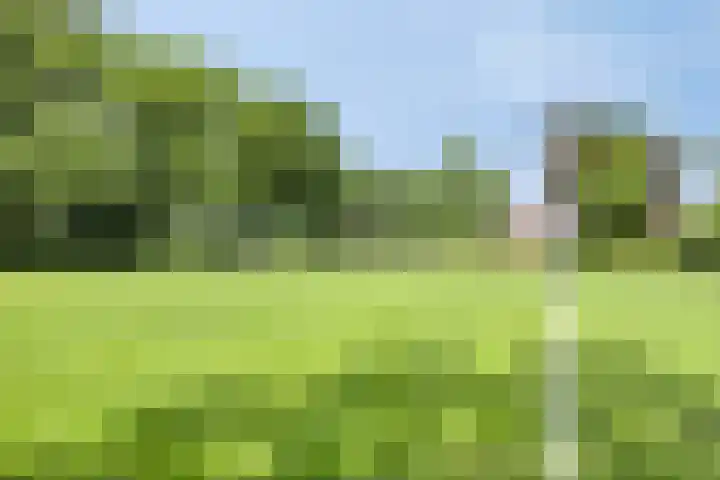 Zenegroen 24 Hardenberg thumbnail 45